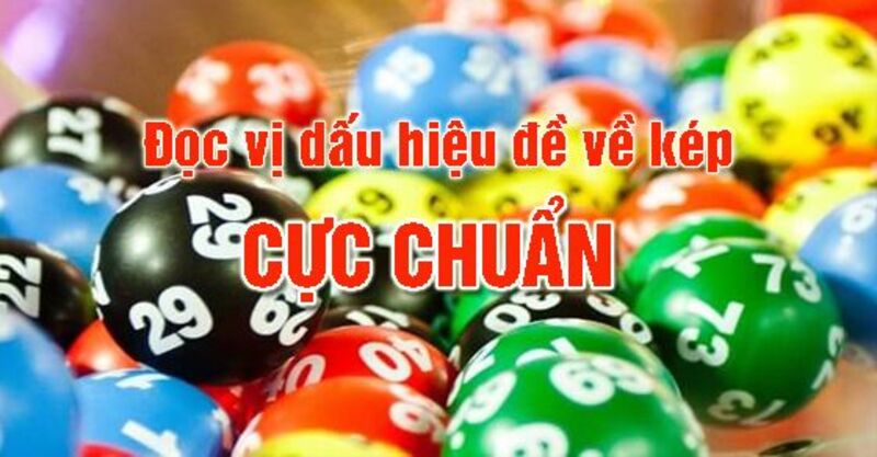 Chiến lược nuôi lô kép hiệu quả 